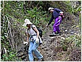 2008-3-30 下午 02-25-06-下山了19.jpg